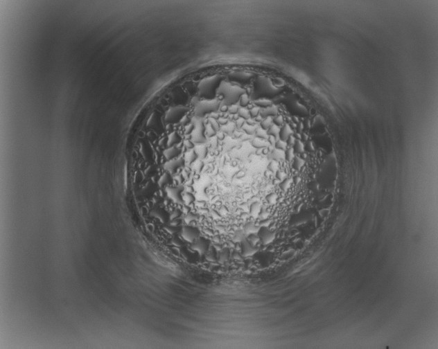 X0000072511221200607211349