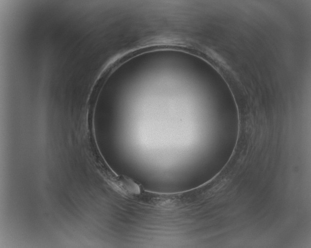 X0000072511222200607211349