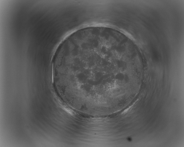 X0000072511223200607211349