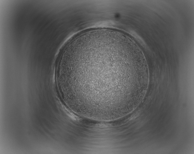 X0000072511224200607211349