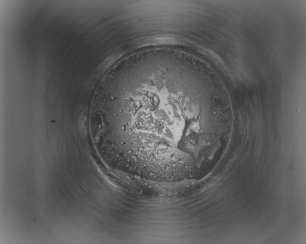 X0000072511225200607211349