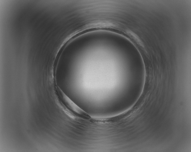 X0000072511226200607211349