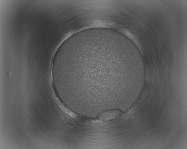 X0000072511227200607211349