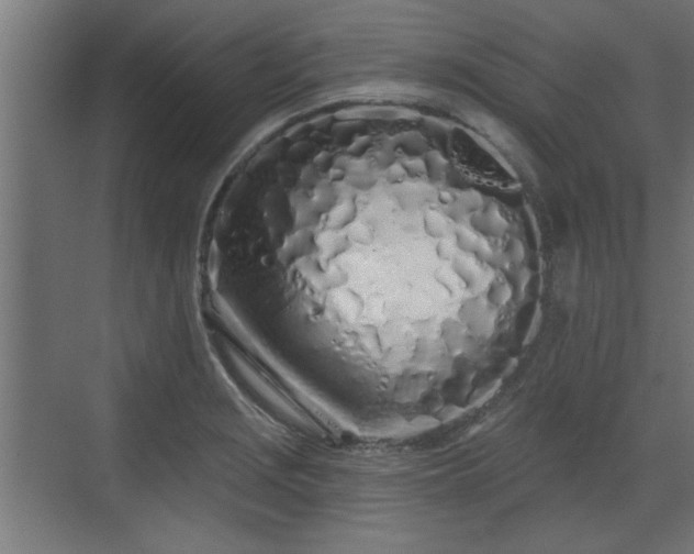 X0000072511229200607211349