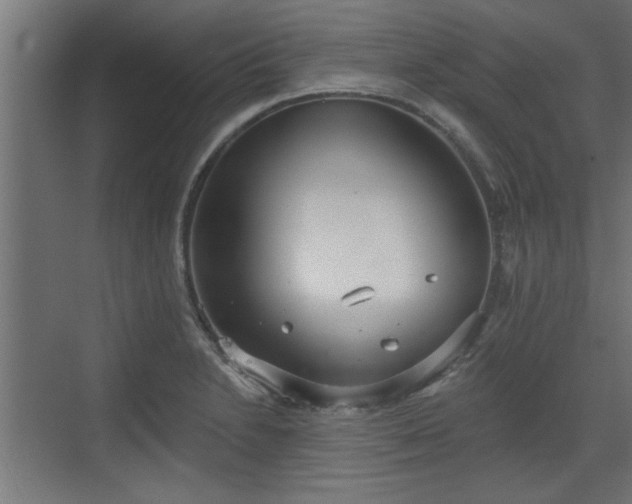 X0000072511230200607211349