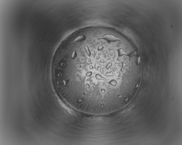 X0000072511231200607211349