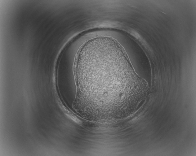 X0000072511232200607211349