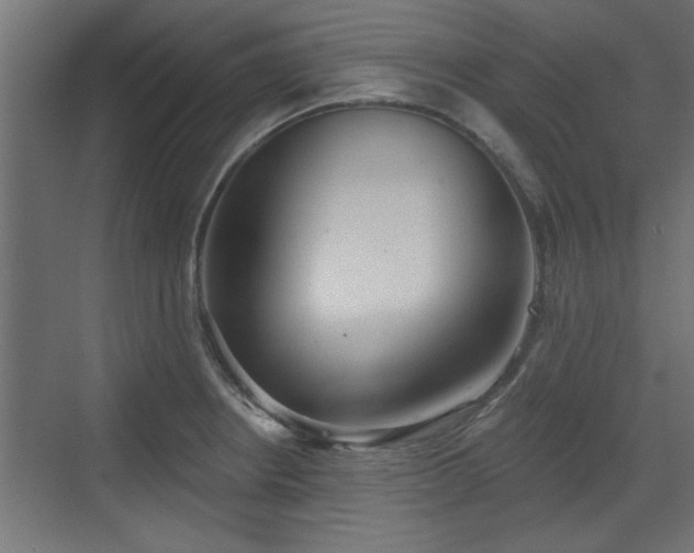 X0000072511234200607211349