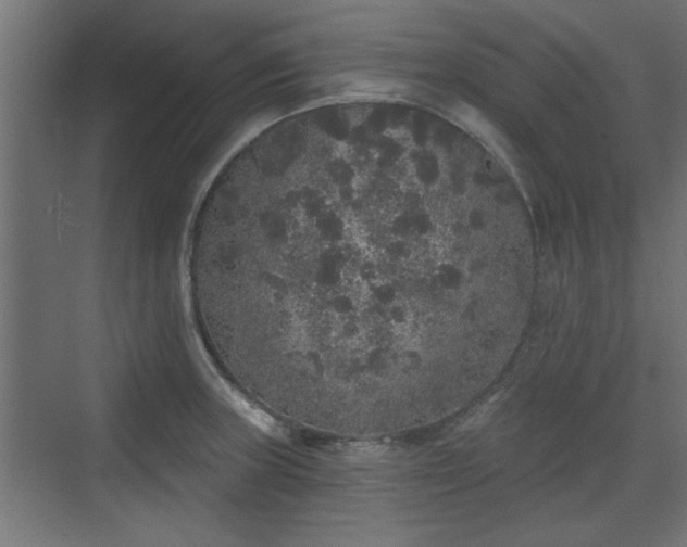 X0000072511235200607211349