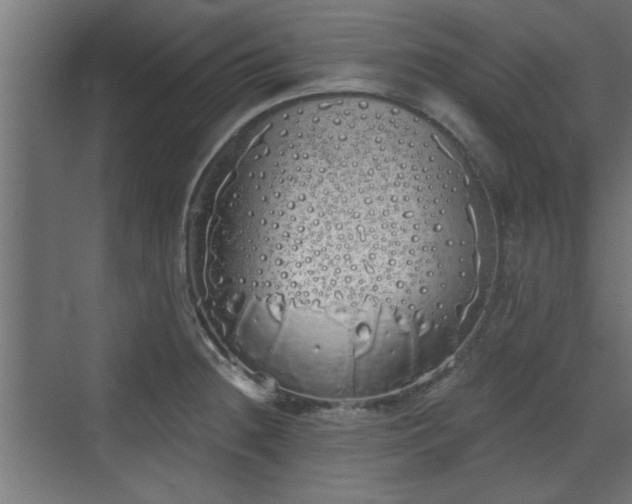 X0000072511236200607211349