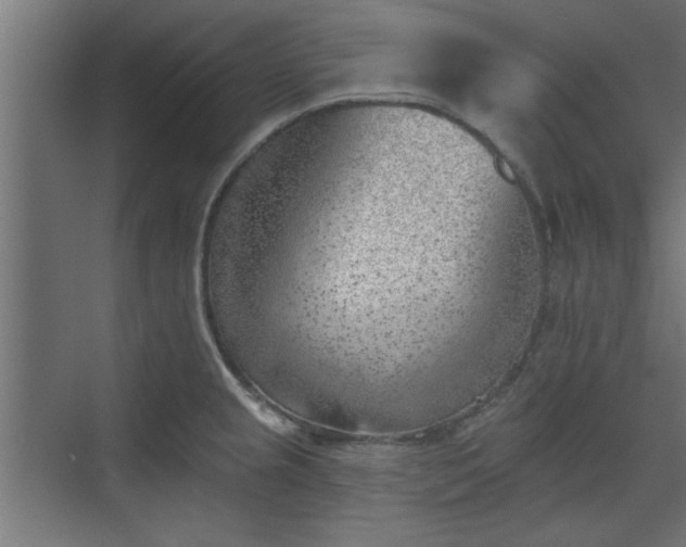 X0000072511237200607211349