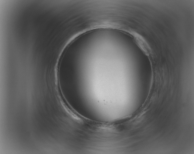 X0000072511238200607211349