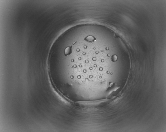 X0000072511239200607211349