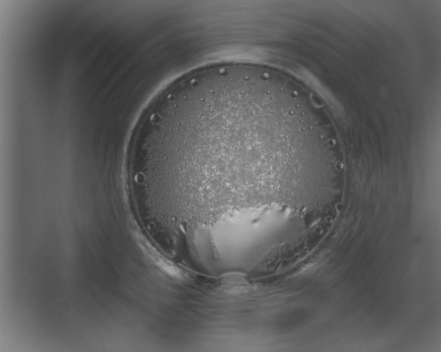 X0000072511240200607211349