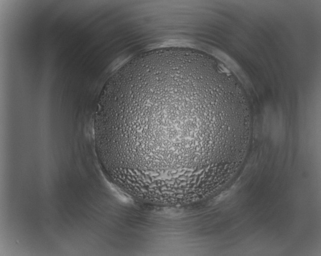 X0000072511241200607211349