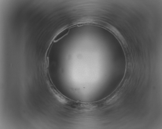 X0000072511242200607211349