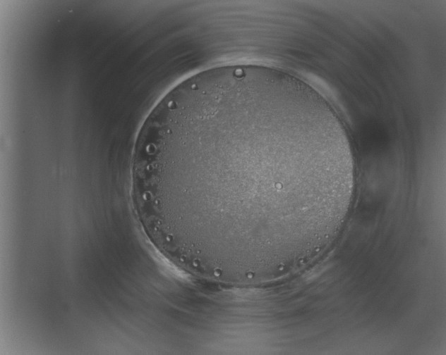 X0000072511244200607211349