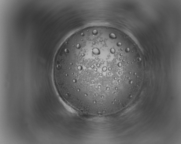 X0000072511245200607211349