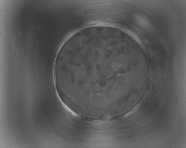 X0000072511247200607211349