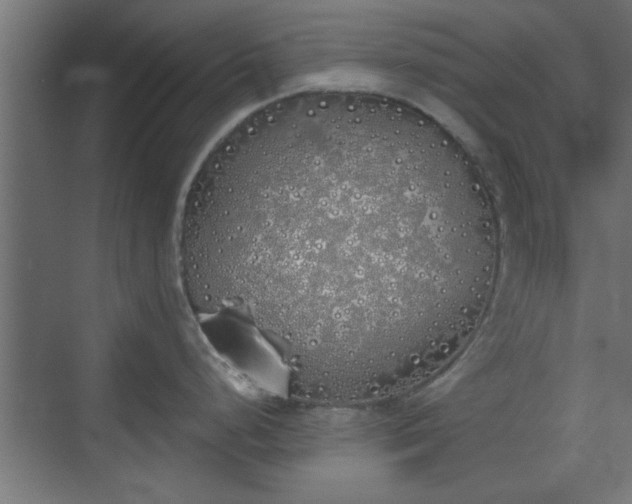 X0000072511248200607211349