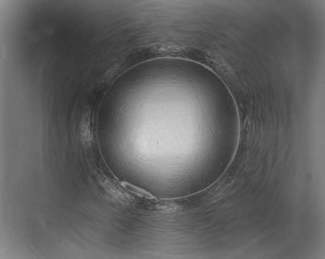 X0000072511250200607211348