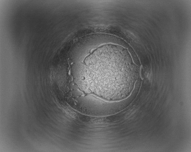 X0000072511252200607211348