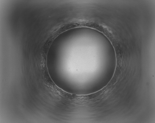 X0000072511253200607211348