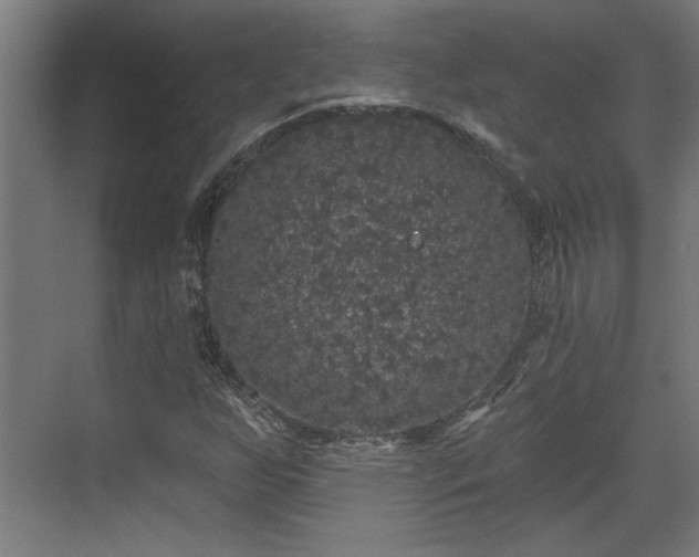 X0000072511255200607211348