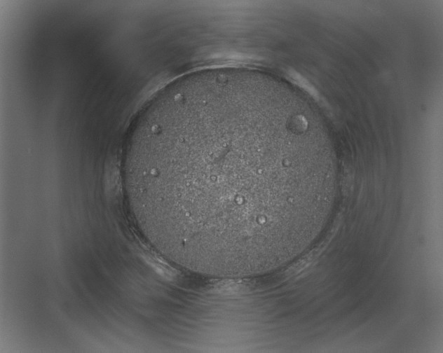 X0000072511259200607211348