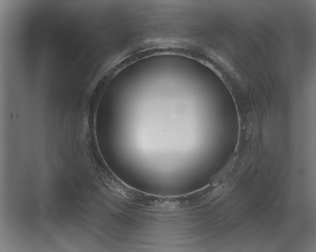 X0000072511261200607211348