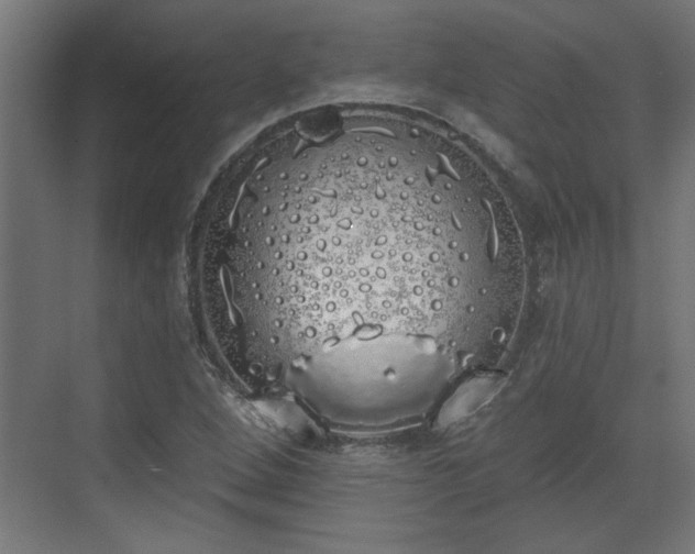 X0000072511264200607211348