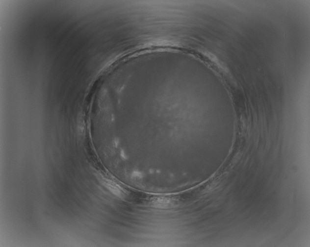 X0000072511266200607211348