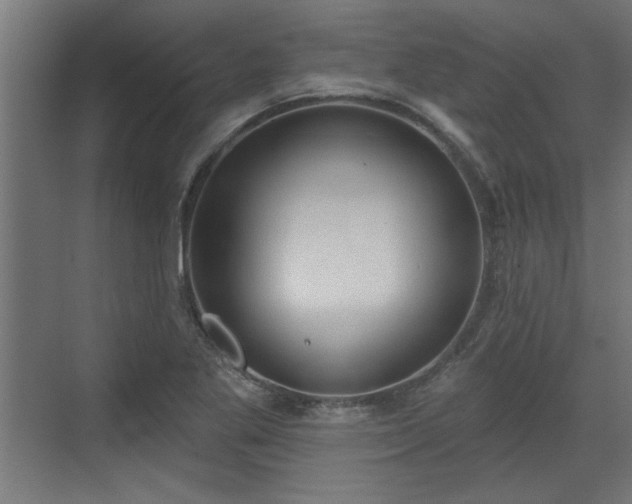 X0000072511269200607211348