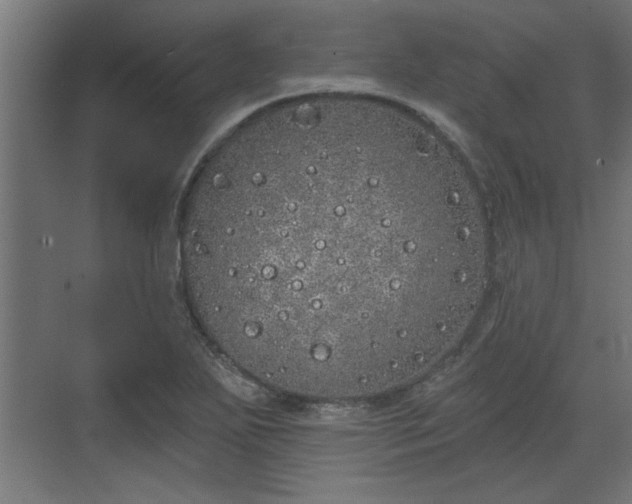 X0000072511271200607211348