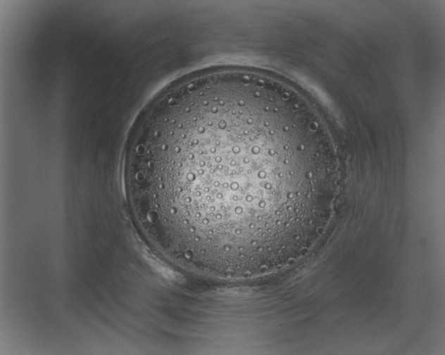 X0000072511272200607211348