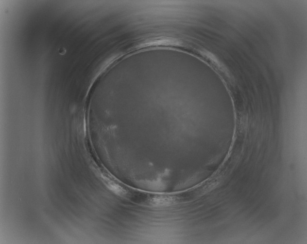 X0000072511274200607211348