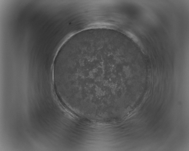 X0000072511275200607211348