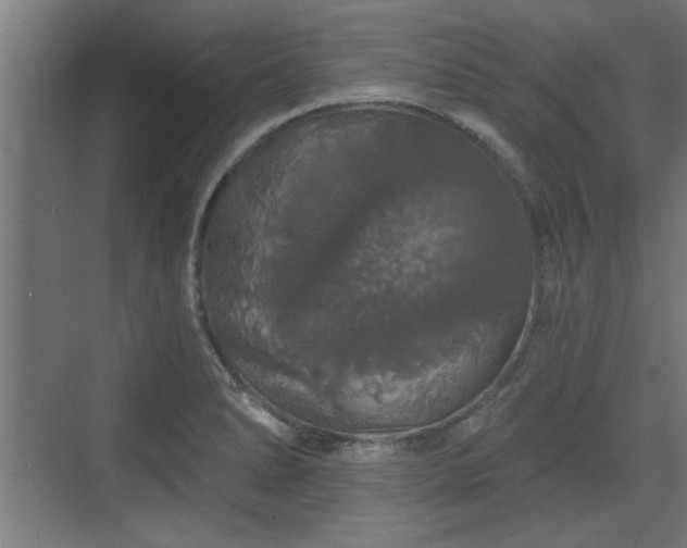 X0000072511278200607211348