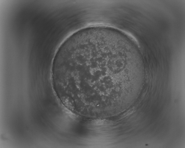 X0000072511279200607211348