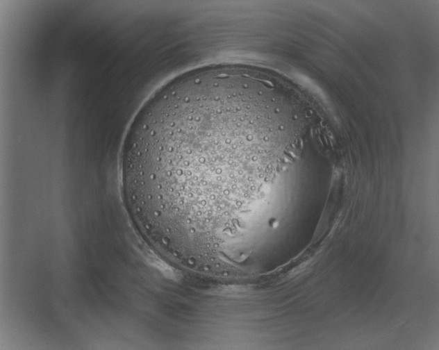 X0000072511280200607211348