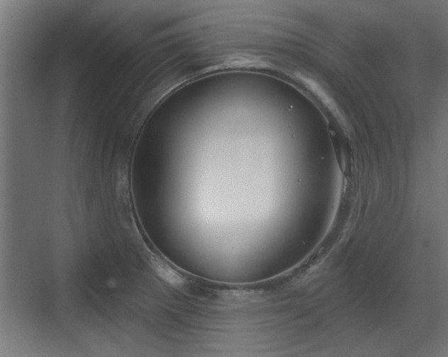 X0000072511281200607211348