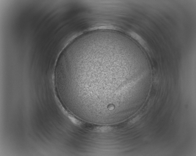 X0000072511282200607211348