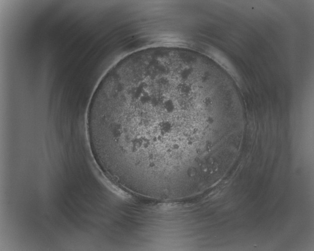 X0000072511283200607211348