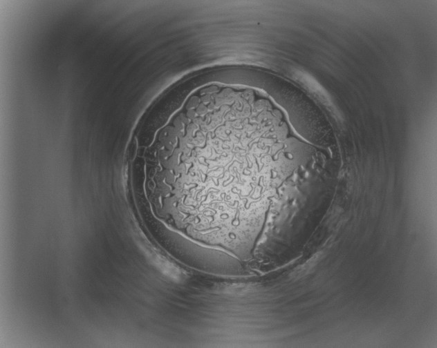 X0000072511284200607211348