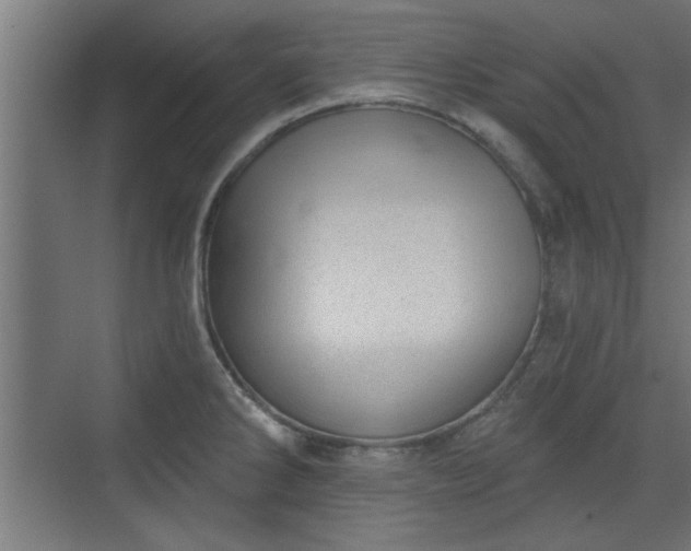 X0000072511286200607211348