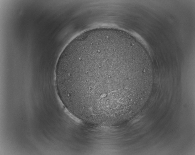 X0000072511287200607211348