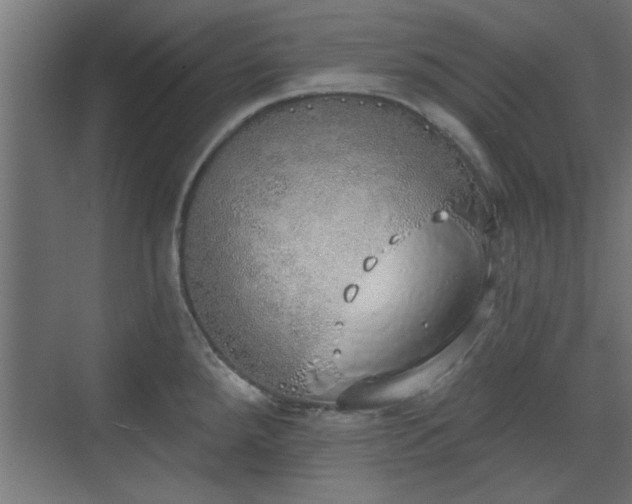 X0000072511288200607211348