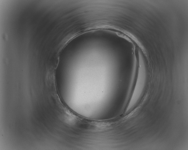 X0000072511289200607211348