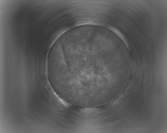 X0000072511290200607211348