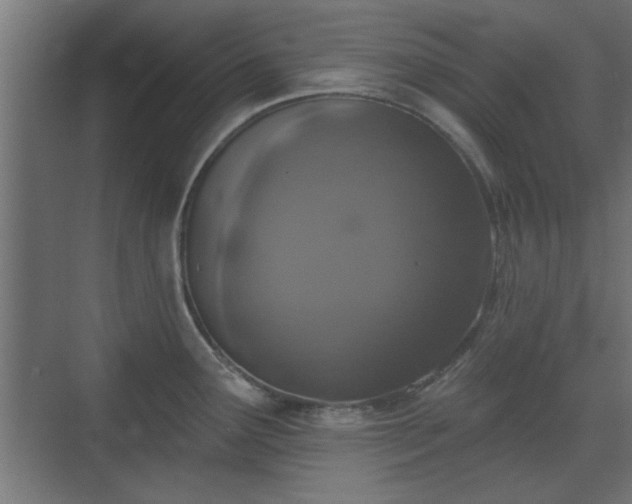 X0000072511291200607211348